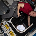 nasa-astronaut-andrew-morgan-takes-photographs-of-the-earth_49653220157_o.jpg