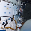STS120-E-06087.jpg
