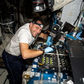 astronaut-josh-cassada-works-on-a-space-botany-experiment_52661334443_o.jpg