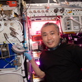 astronaut-koichi-wakata-works-on-space-botany-research_52619865623_o.jpg