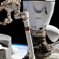 the-spacex-dragon-endeavour-crew-ship-is-pictured-docked-to-the-harmony-module_52006921830_o.jpg