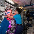 nasa-astronaut-jessica-meir-trims-leaves-and-harvests-a-crop_49065111438_o.jpg