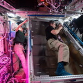 nasa2explore_51113560084_Astronauts_Shannon_Walker_and_Michael_Hopkins_install_temporary_sleeping_quarters.jpg