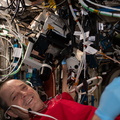 nasa-astronaut-ricky-arnold-performs-microscope-photo-document-operations_44684092891_o.jpg
