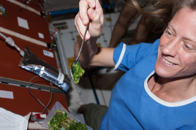 NASA astronaut Karen Nyberg - 9301479390_6536f3541e_z.jpg