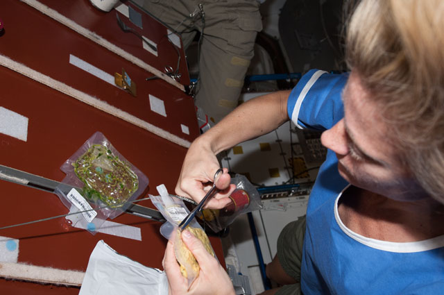 NASA astronaut Karen Nyberg - 9301479342 9a45b7163d z
